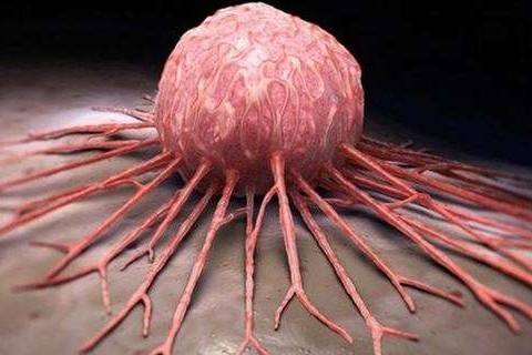 Kanser Hücresi Vücutta Nasıl Beslenir?